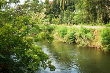 Majestic Landscapes of Sri Lanka. Breathtaking Beauty Capturing the Serene Essence of Nature in Stunning Landscapes. A Journey Through Picturesque Nature Landscapes. The beauty of Nature’s Landscape