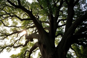 Green miniature tree is showcased with modern architecture as a reflection in sleek surface