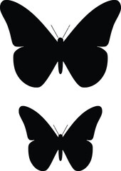 Fototapeta premium Silhouette Vector of Butterfly – Elegant Insect Design for Nature, Decoration, and Craft Projects