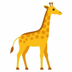 Fototapeta premium giraffe isolated on white background