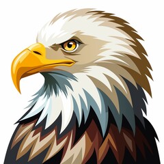 American bald eagle isolated on white background.