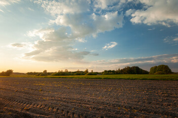 View of a rural ploughed field and a sky with white clouds illuminated by warm sunlight