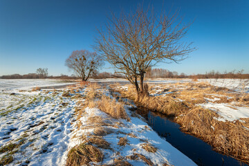 Small water ditch on snowy meadow with trees, winter view, Zarzecze, Poland