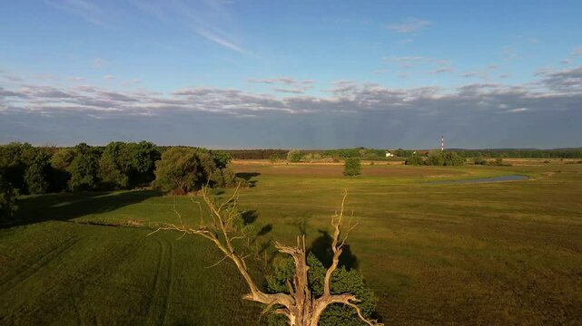 Aerial view of the Rogalin Landscape Park, Poland.	