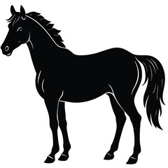 Horse Silhouette Standing Detailed Illustration