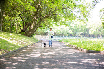 犬を散歩させる日本人女性