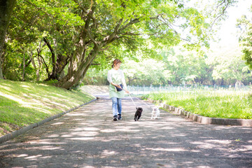 犬を散歩させる日本人女性
