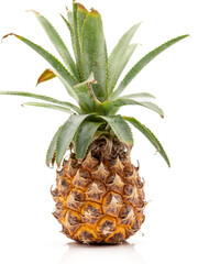 ripe whole baby pineapple with green leaves on white