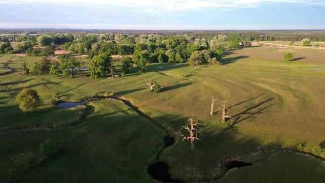 Aerial view of the Rogalin Landscape Park, Poland.	