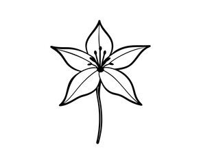 Abstract floral vector illustration of a beautiful nature plant with leaves and blooming petals, perfect for spring garden designs or decorative season icons