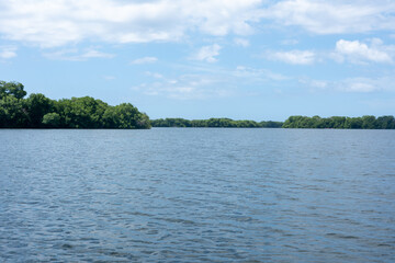 Mangrove swamp at National Park Laguna de la Restinga Lagoon in Venezuela, Margarita Island