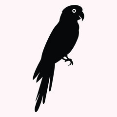 Black Parrot Silhouette - Exotic Bird Vector Illustration