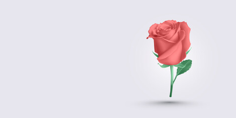 Realistic Pink Rose With Delicate Petals, Long Stem And Two Leaves. Romantic Floral Element For Valentine's, Wedding, Or Botanical Designs. Vector Illustration.