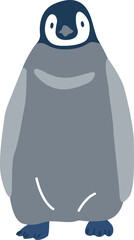 Adelie penguin living in Antarctica