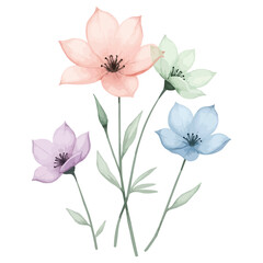 bouquet of flowers watercolour