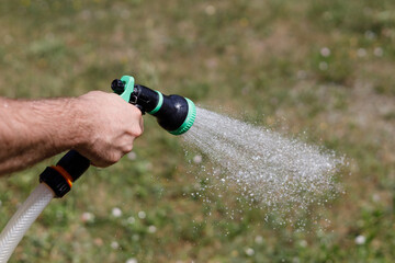 A man's hand holds a hose and sprinkles water on the vegetable garden