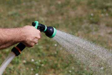 A man's hand holds a hose and sprinkles water on the vegetable garden