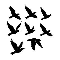 Fototapeta premium Illustration of a set of nine bird silhouettes isolated on white background
