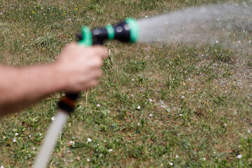 A man's hand holds a hose and sprinkles water on the vegetable garden