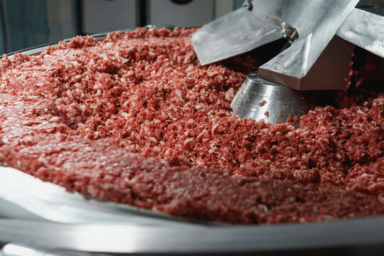 Processing of production minced meat in industrial meat grinder, close up.