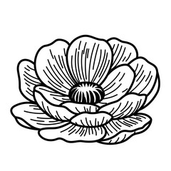 Hand-Drawn Blooming Flower Vector. Black and White Botanical Line Art Illustration