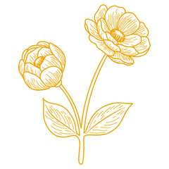 Elegant Botanical Flower Line Art. Vintage Floral Vector Illustration in Monoline Style