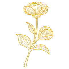 Elegant Botanical Flower Line Art. Vintage Floral Vector Illustration in Monoline Style