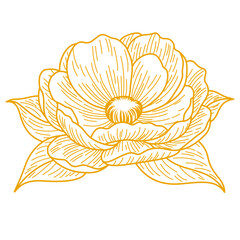 Elegant Botanical Flower Line Art. Vintage Floral Vector Illustration in Monoline Style