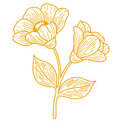 Elegant Botanical Flower Line Art. Vintage Floral Vector Illustration in Monoline Style