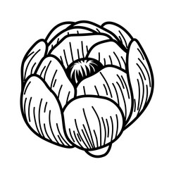 Hand-Drawn Blooming Flower Vector. Black and White Botanical Line Art Illustration