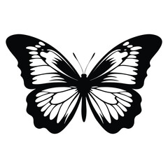 Butterfly black silhouette isolated on white background