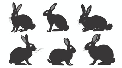Rabbits silhouette isolated in White background