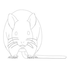 A small rodent with a long tail is shown in a black and white drawing. The animal has a cute and innocent expression, and its whiskers are prominently displayed