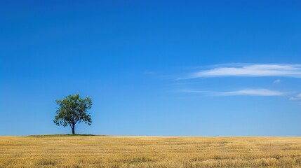 Breathtaking Blue Background Landscape Images: Stunning Scenes of Coastal Cliffs, Mountain Peaks, and Serene Lakes Embedded in Vibrant Azure Hues, Ideal for Travel Brochures, Wallpaper Collections
