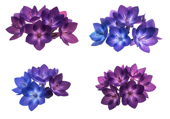 watercolor paintings of blue and purple flowers - artistic floral elements isolated on transparent background