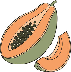 vector illustration of a cucumber