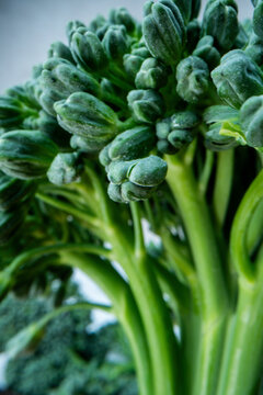 Macro of broccoli 