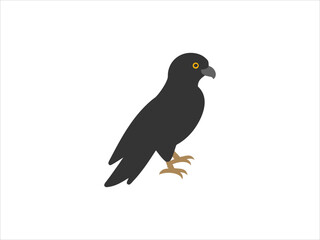 contrasting falcon bird logo facing each other.