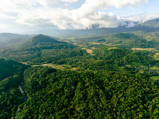 Obraz premium Drone capture of forested highlands at sunset hour