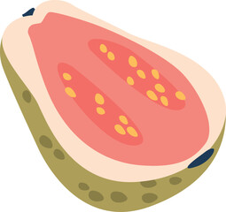 Guava tropical fruit vector illustration