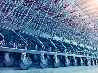 A row of shopping carts is neatly lined up in a straight row