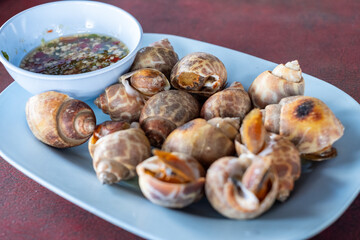 Delicious Grilled Sea Snails