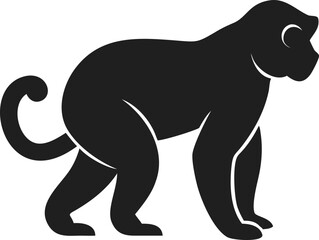 Obraz premium Black siamang silhouette wild ape primate mammal asia isolated