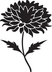 Marigold Flower Silhouette Top Down Round Petals