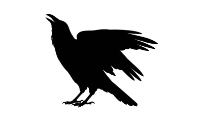 Crow or Raven with Open Wings Silhouette