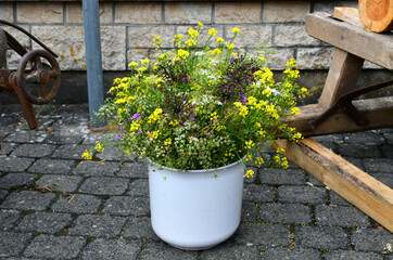 schöner Wildblumenstrauß
