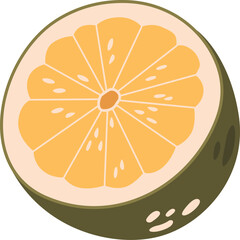 Lime tropical fruit vector illustration