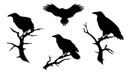 set of raven sitting on branch silhouette