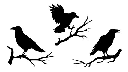 set of raven sitting on branch silhouette