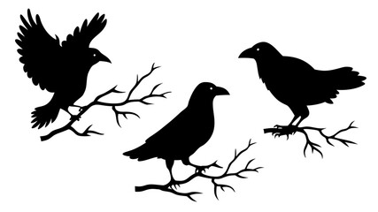 set of raven sitting on branch silhouette